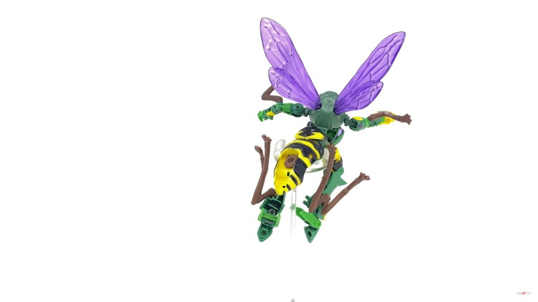 Transformers Kingdom Deluxe Class Waspinator  (10 of 28)